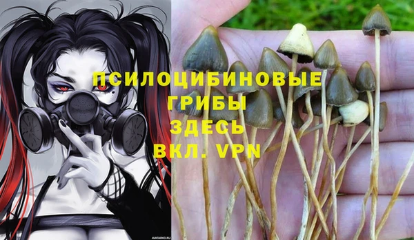 2c-b Костерёво
