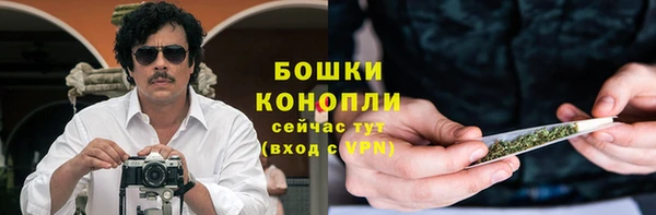 индика Краснотурьинск