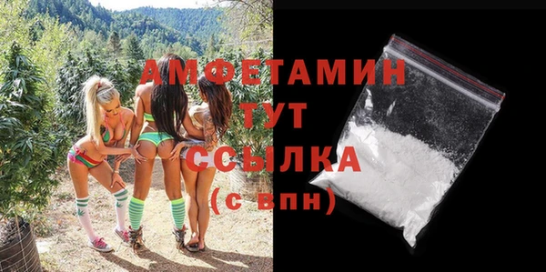 амф Коряжма
