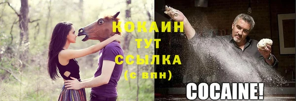 амф Коряжма